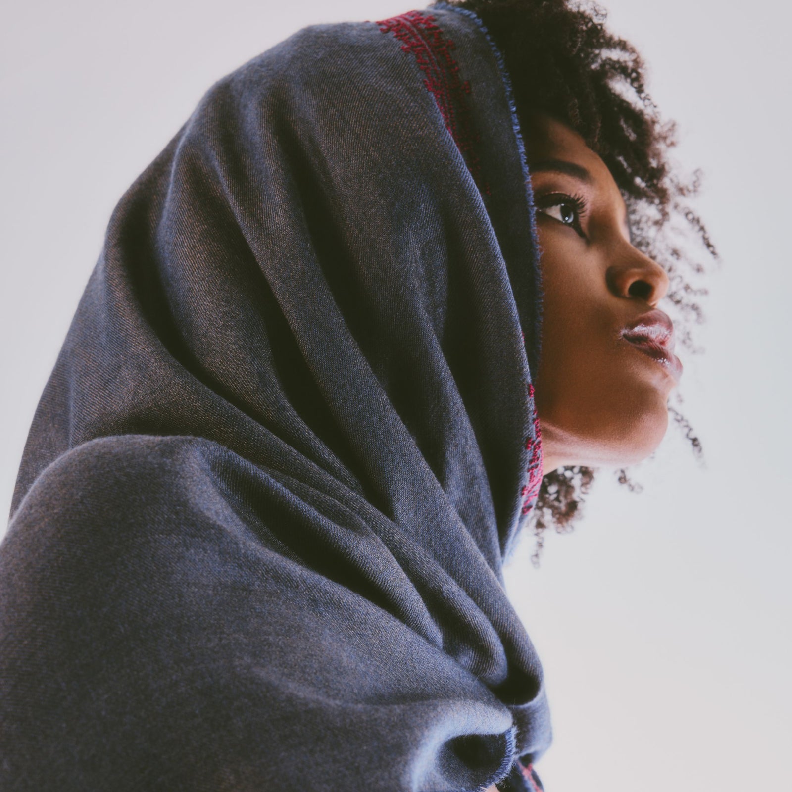 BLUE CASHMERE & SILK SHAWL BURGUNDY IBRAHIM