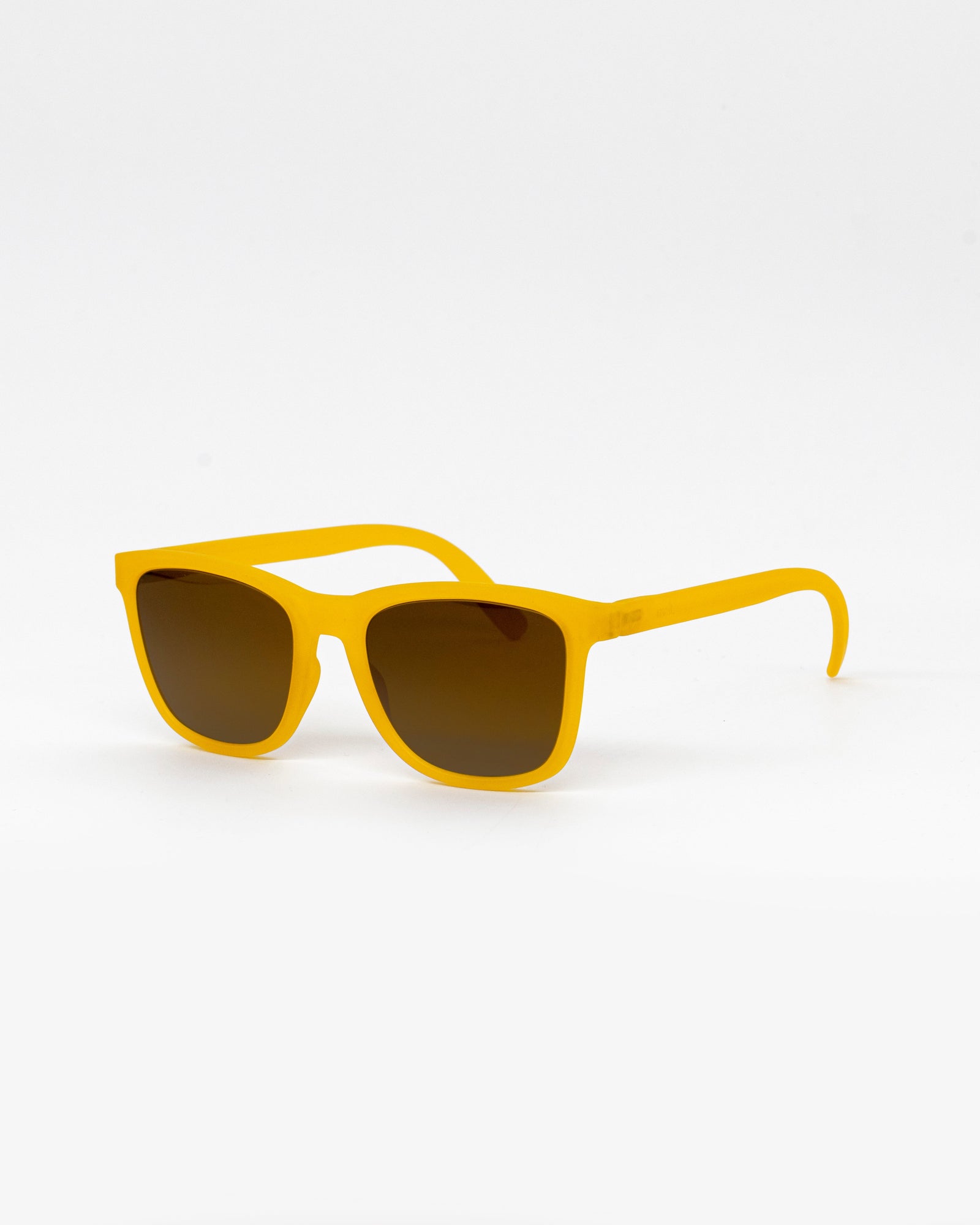 MELT SUNGLASSES